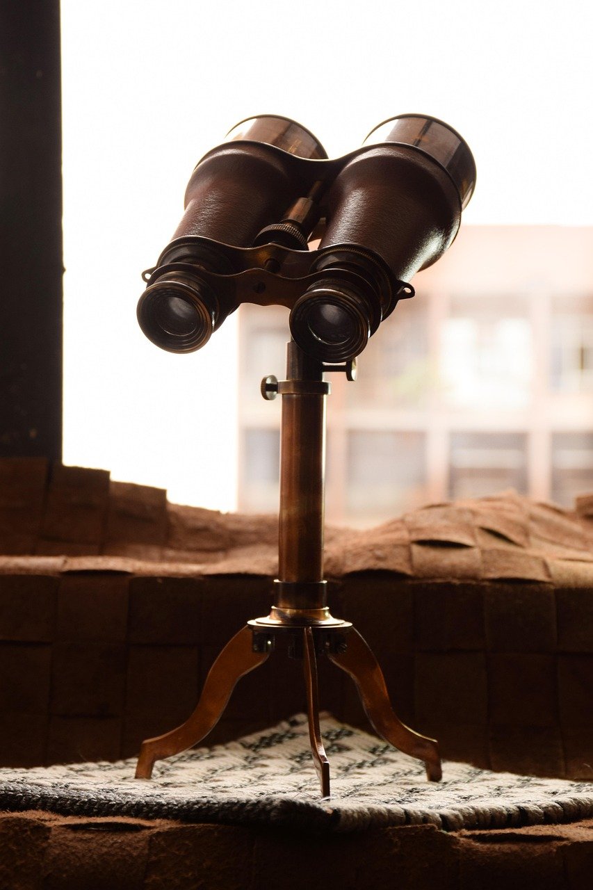 binocular, antque, art